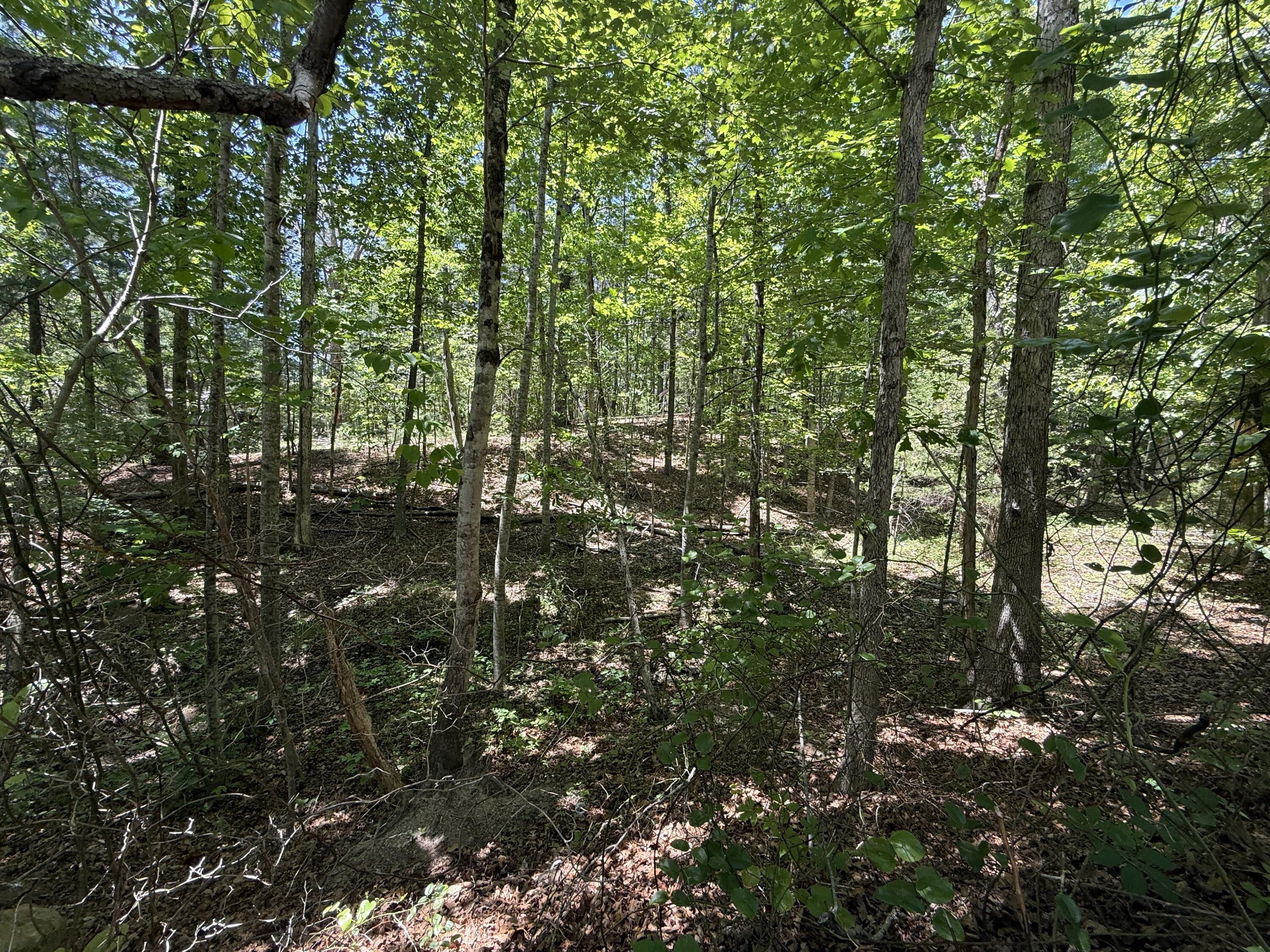 3422 Carvins Cove Road Salem, VA 24153 - Photo 2 of 4 IMG_2351