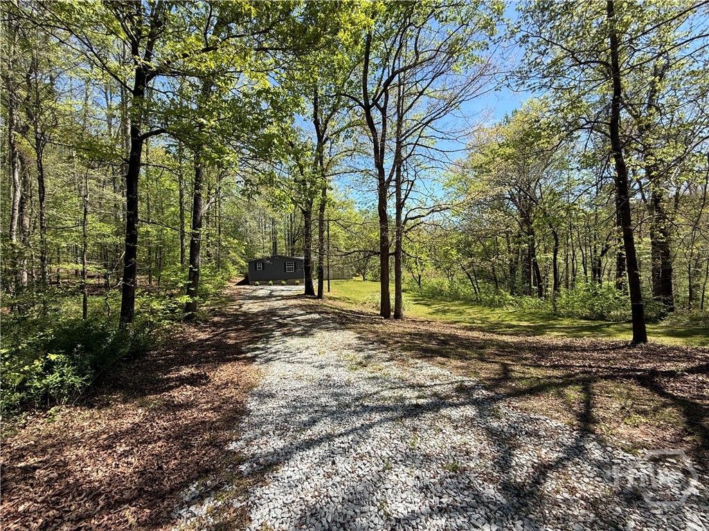 10817 Double Bridges Road Arnoldsville, GA 30619 - Photo 5 of 20