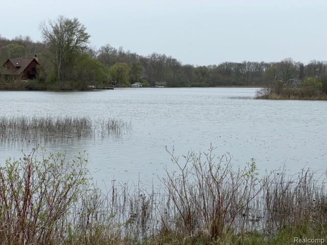 1983 Maxfield Lake Road Hartland, MI 48353 - Photo 9 of 10