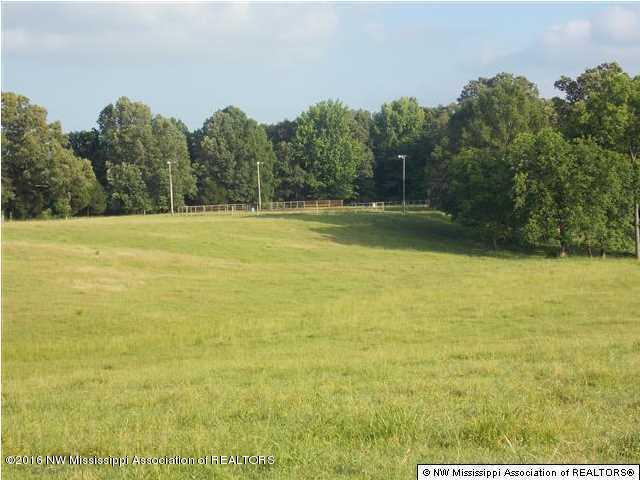 74 Tate Panola Road Sarah, MS 38665 - Photo 3 of 7 20160808213921398031000000-o