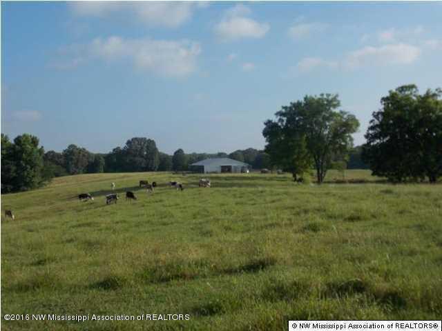 74 Tate Panola Road Sarah, MS 38665 - Photo 4 of 7 20160808213921444525000000-o