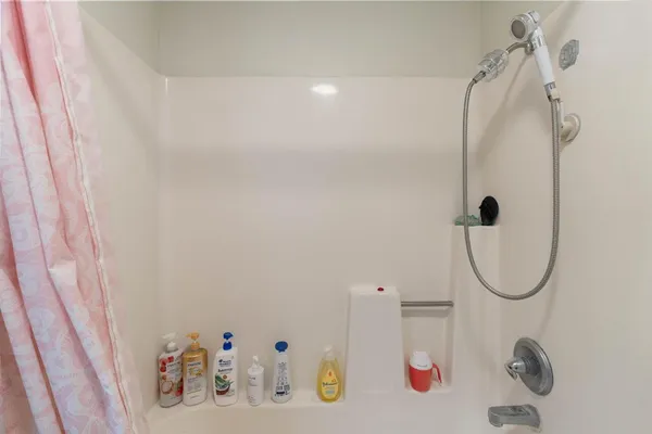 a bathroom with a bath tub and a shower