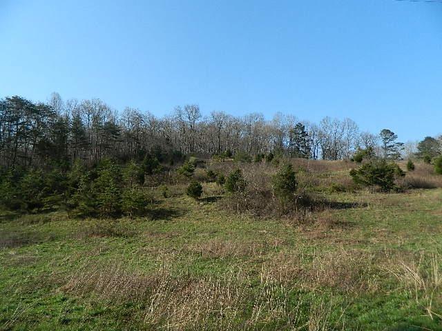 100 Hamm Cemetery Road Somerset, KY 42501 - Photo 18 of 21 Gallery Image 18