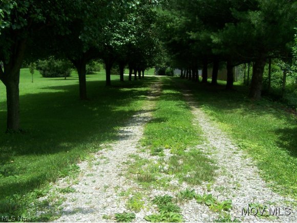 2866 Charleston Road Spencer, WV 25276 - Photo 3 of 24 Beautiful entrance to propery