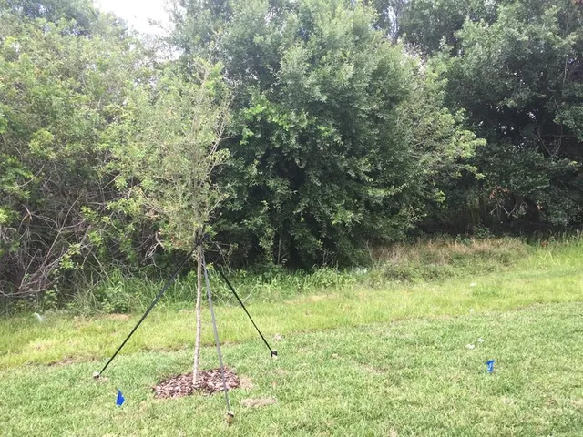 $2,100 | 9618 Pembrooke Pines Drive, Sun City Center, FL 33573