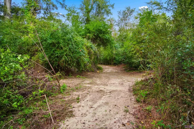 $485,000 | 771 Carrier Road, Pine Grove, LA 70453