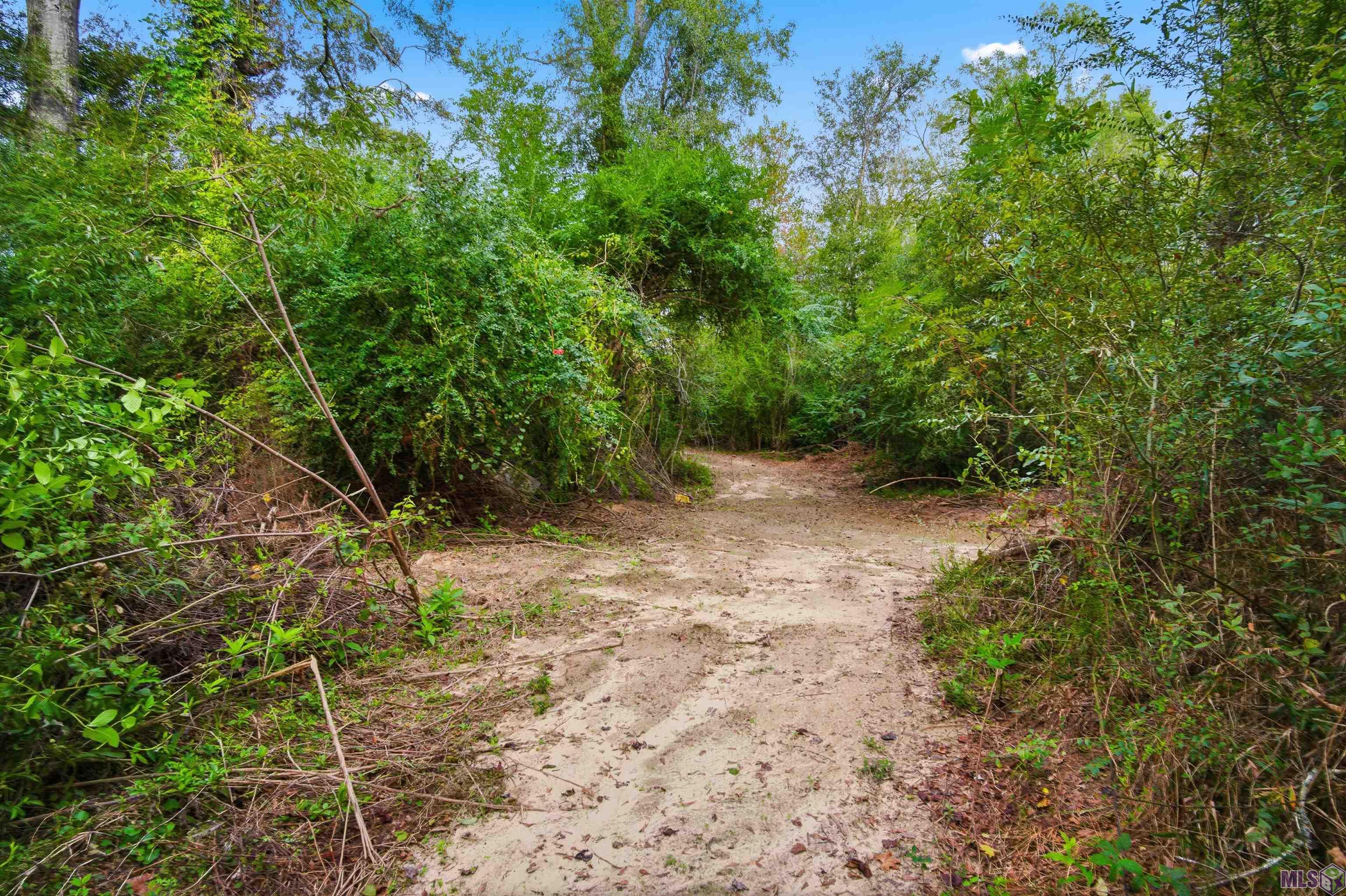 771 Carrier Road Pine Grove, LA 70453 - Photo 25 of 29