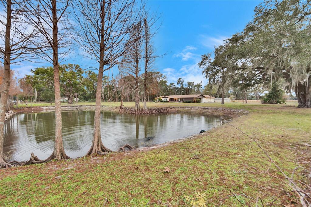 5401 Peeples Road Plant City, FL 33565 - Photo 10 of 74 Gallery Image 10