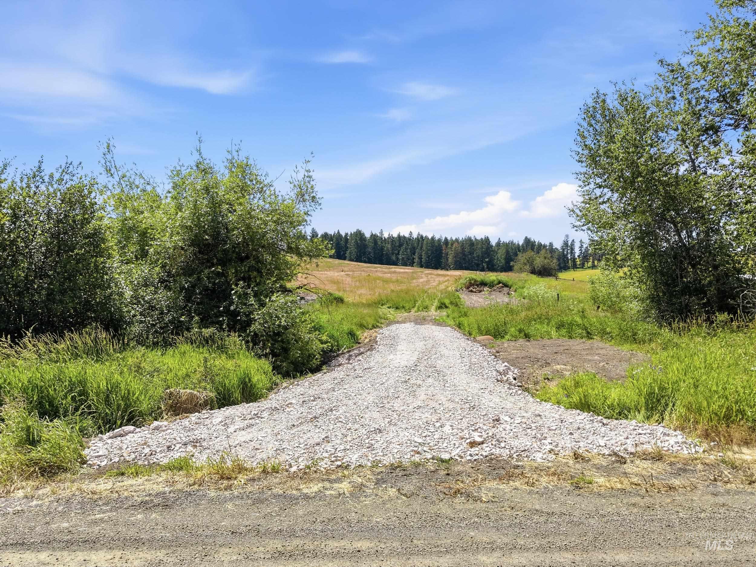 Tbd Reynolds Road Princeton, ID 83857 - Photo 3 of 11