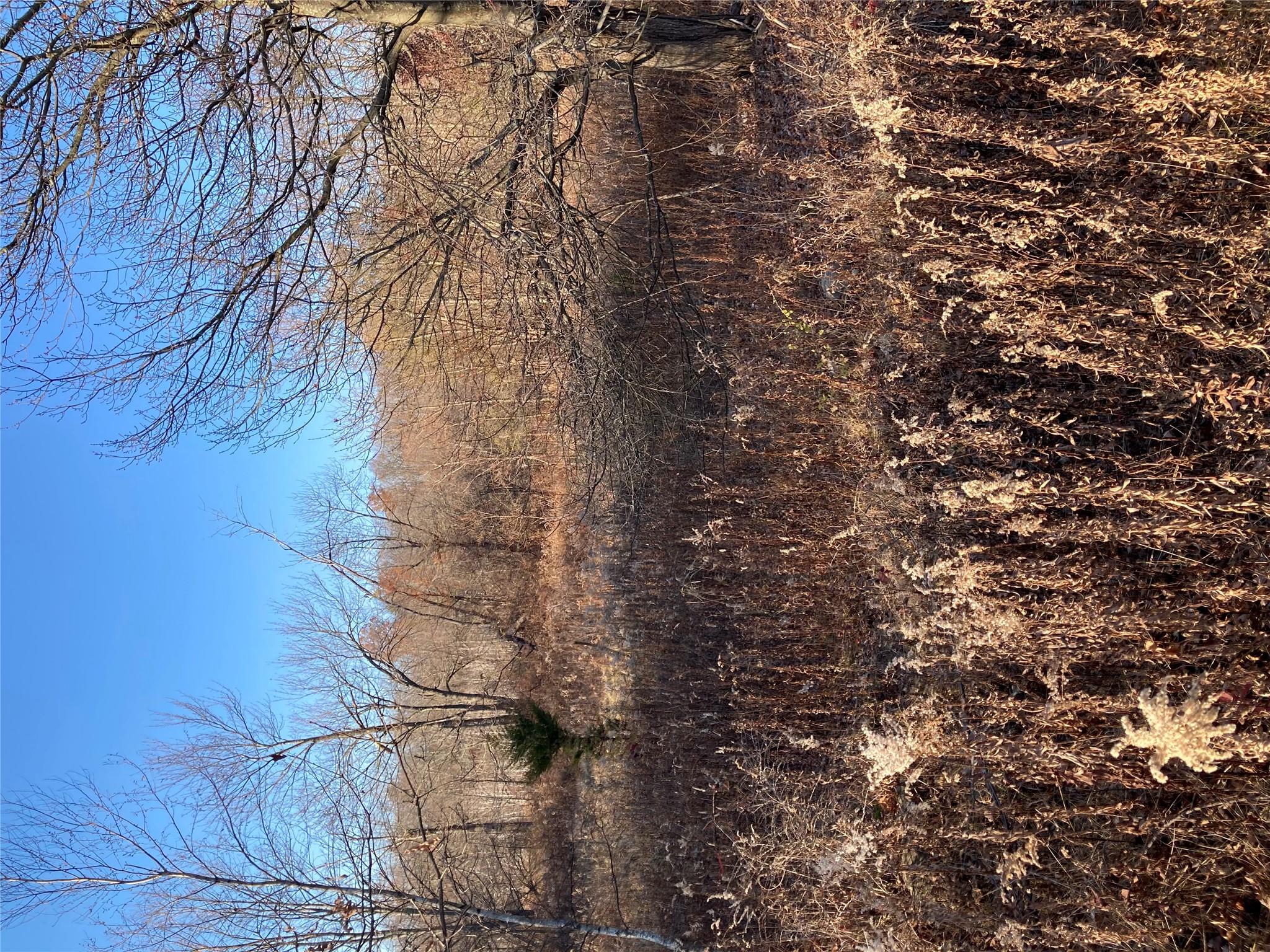 Pocatello Road Pocatello Road Middletown, NY 12566 - Photo 1 of 13 a view of yard