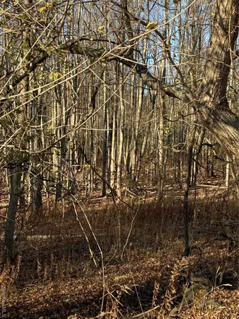 a view of wooden fence