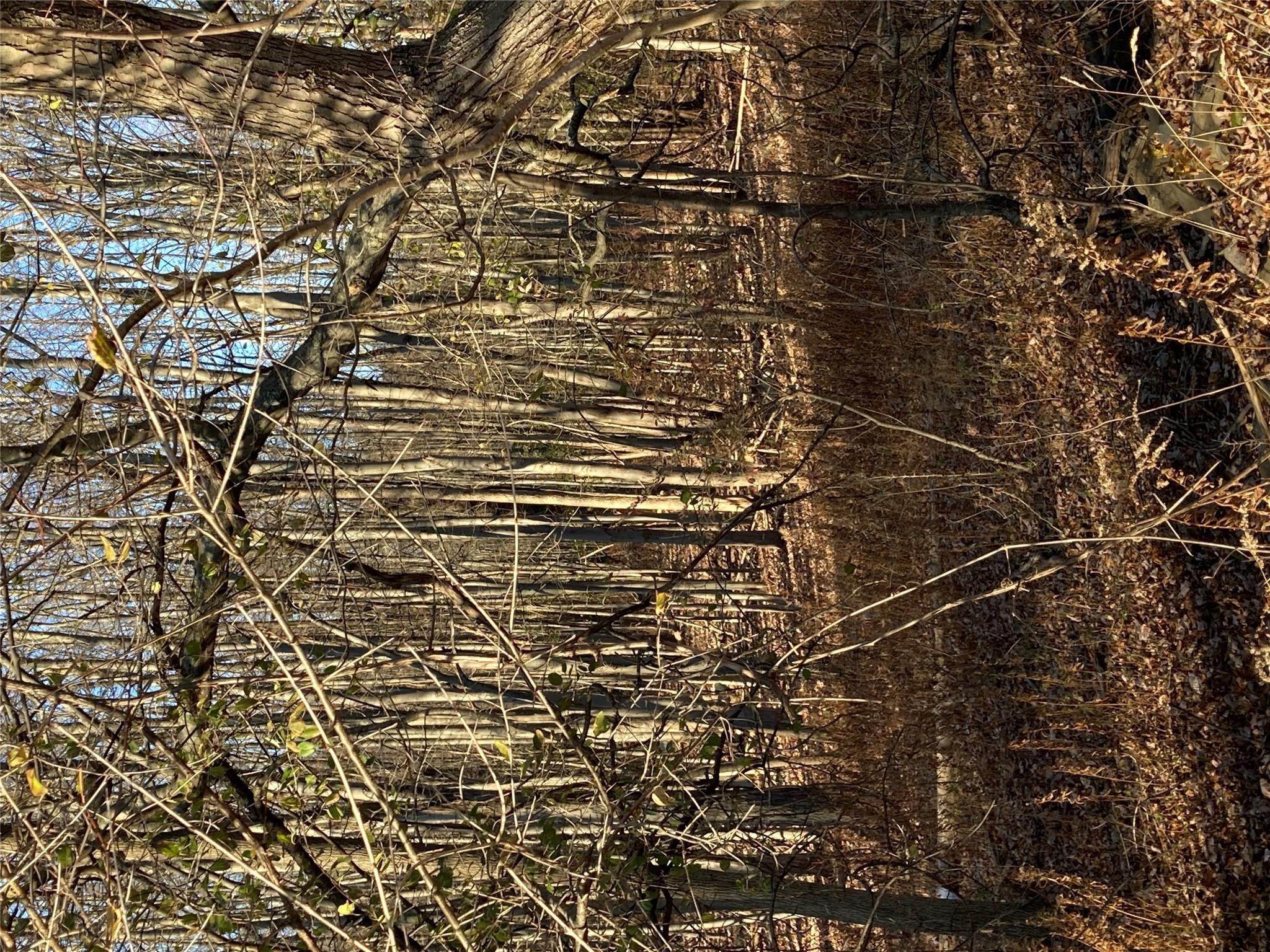 Pocatello Road Pocatello Road Middletown, NY 12566 - Photo 11 of 13