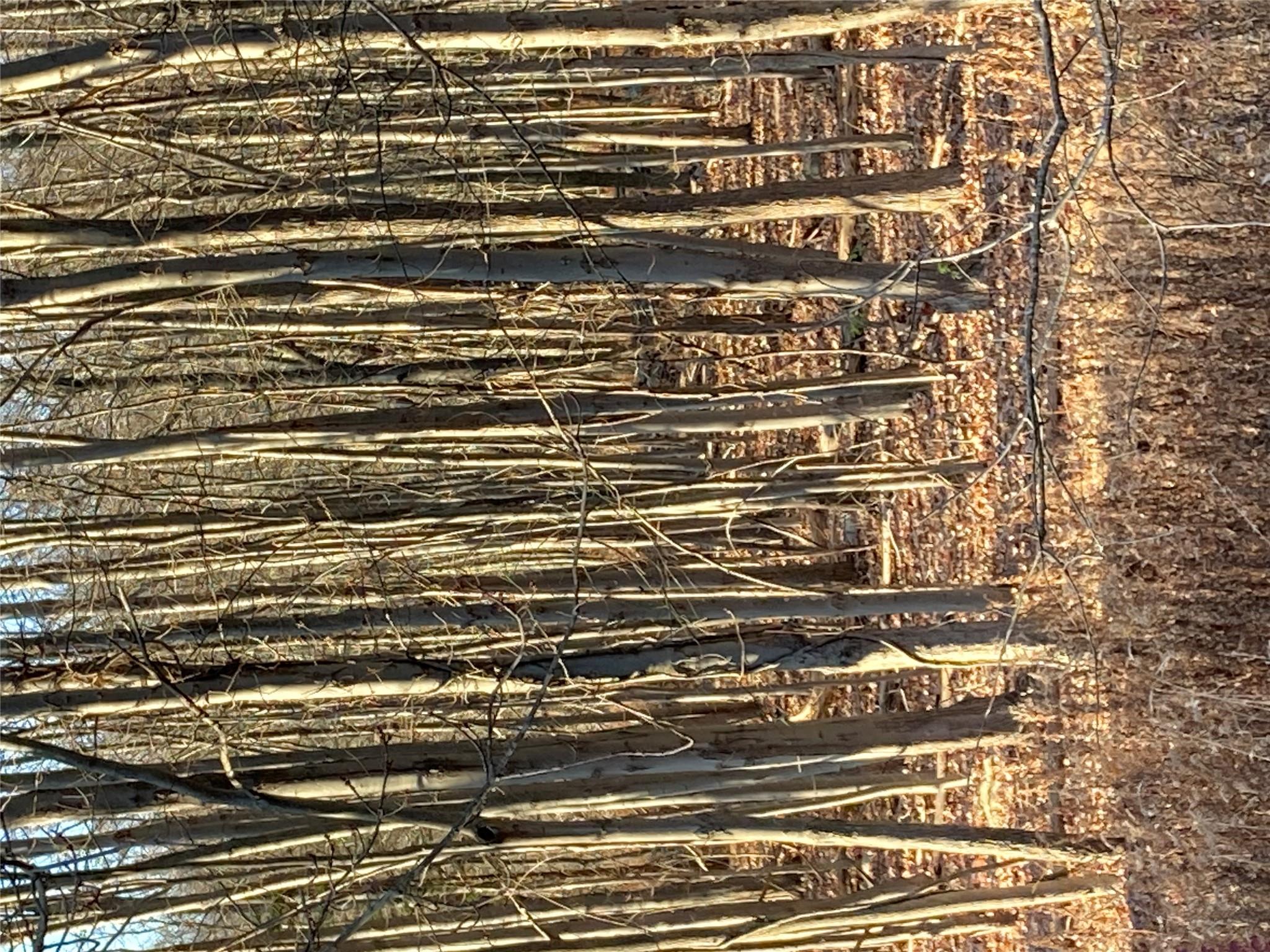 Pocatello Road Pocatello Road Middletown, NY 12566 - Photo 12 of 13 a view of wooden fence