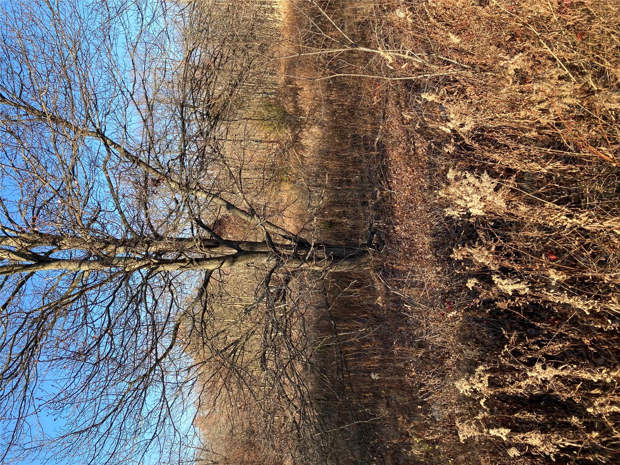 Pocatello Road Pocatello Road Middletown, NY 12566 - Photo 3 of 13 a view of a yard with a tree