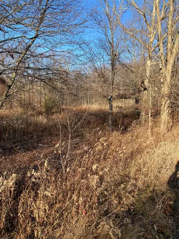 a backyard of a house