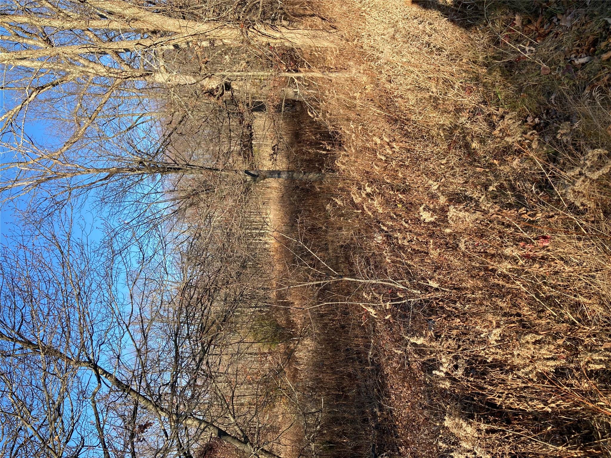 Pocatello Road Pocatello Road Middletown, NY 12566 - Photo 4 of 13 a backyard of a house