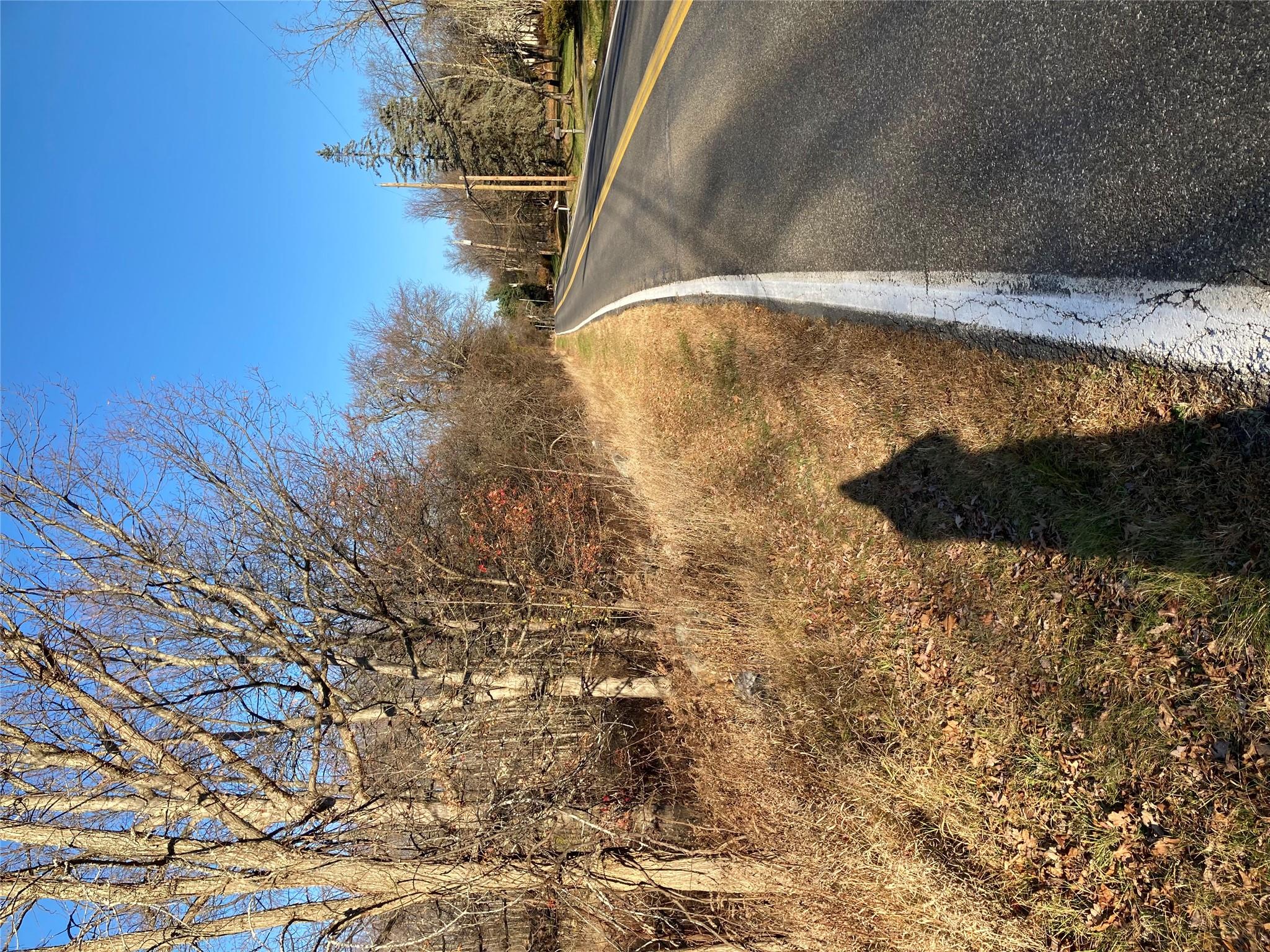 Pocatello Road Pocatello Road Middletown, NY 12566 - Photo 5 of 13 a view of a yard along with trees