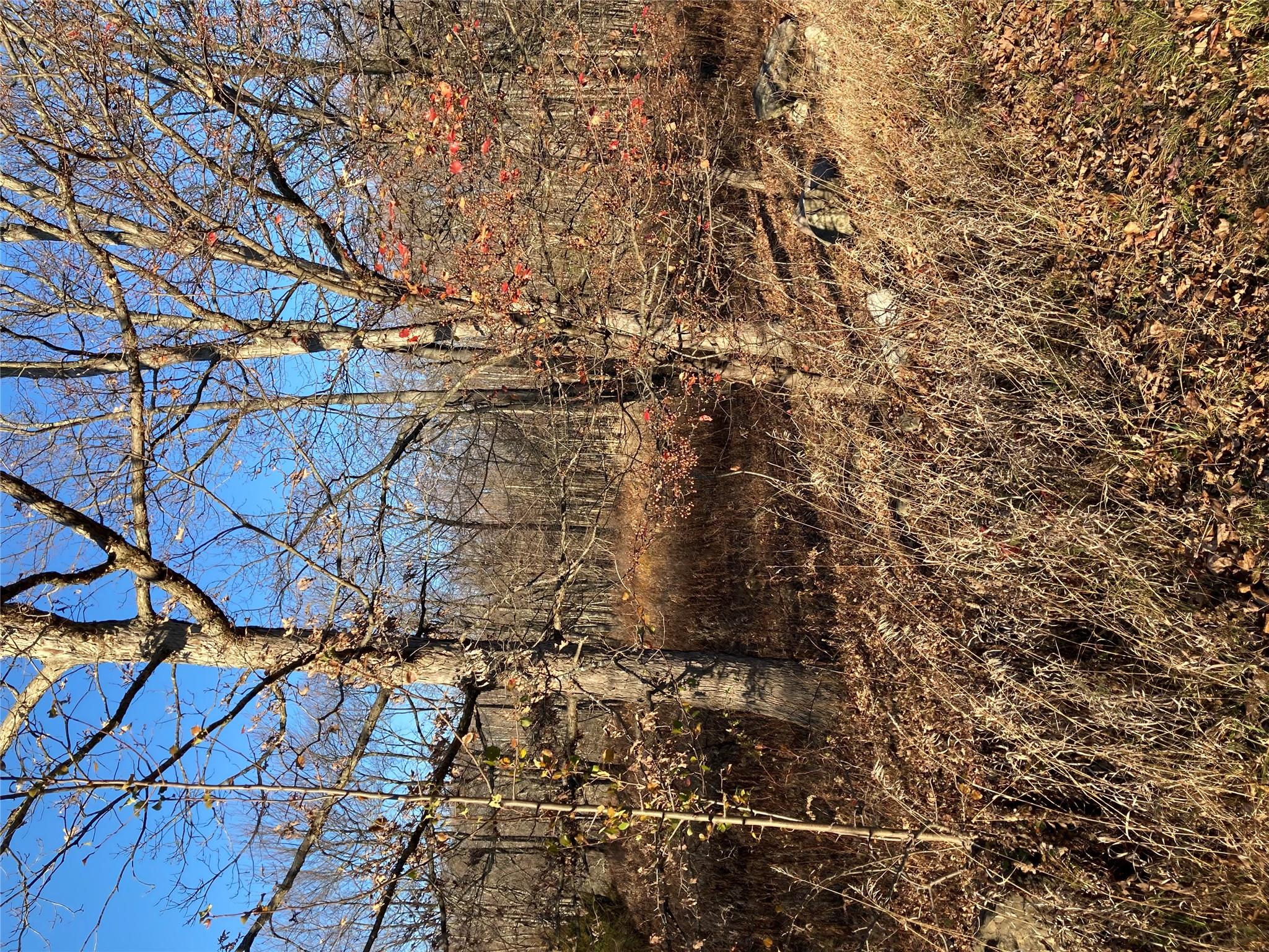 Pocatello Road Pocatello Road Middletown, NY 12566 - Photo 6 of 13 a view of a yard