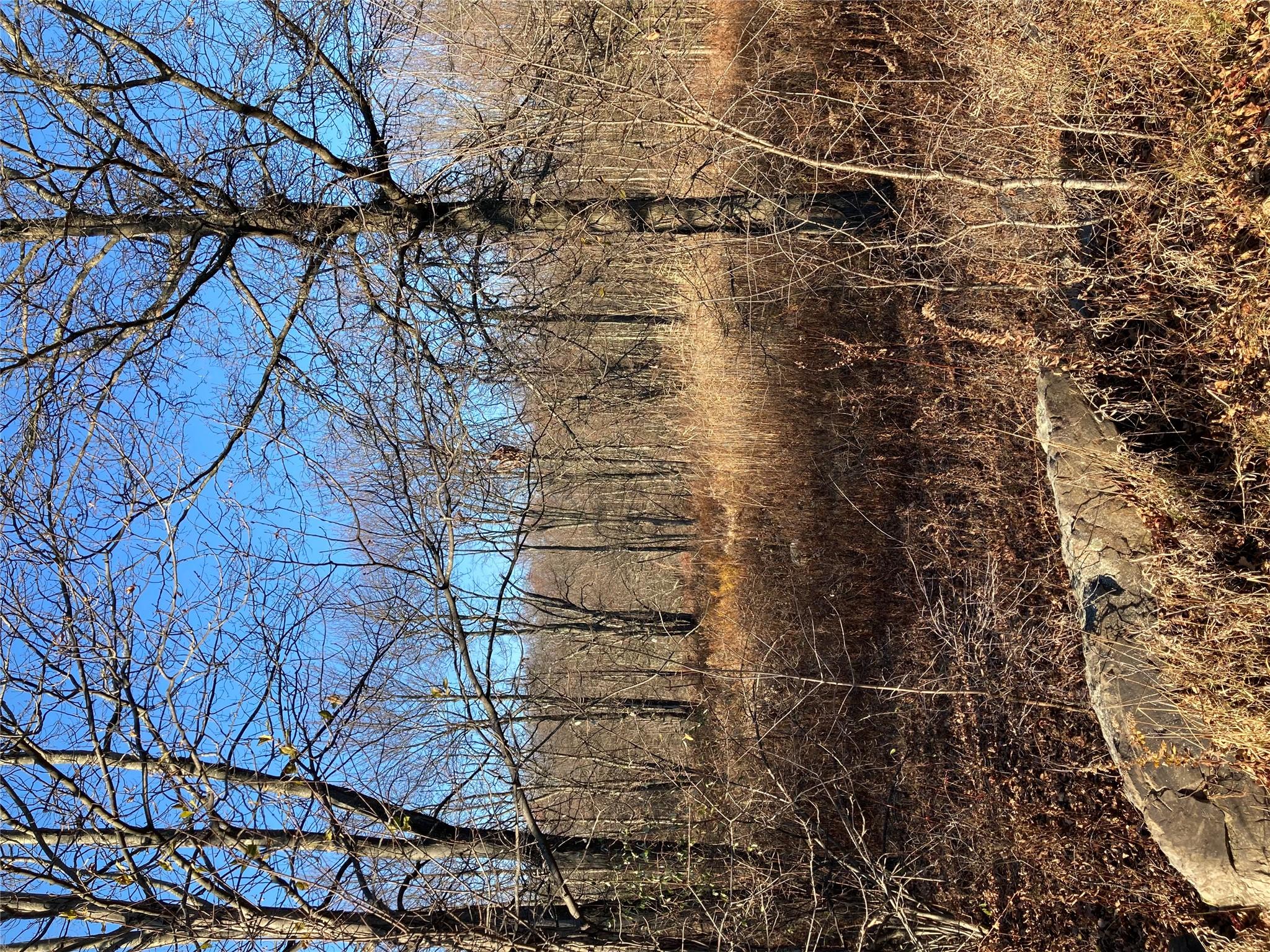 Pocatello Road Pocatello Road Middletown, NY 12566 - Photo 7 of 13 a view of a backyard of a house