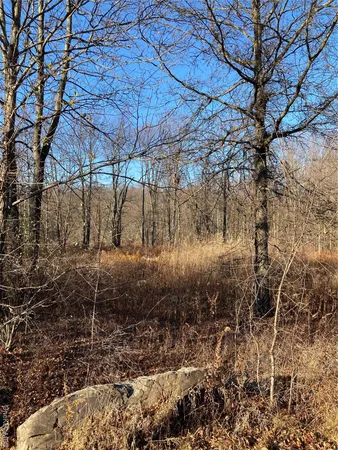 a view of a backyard of a house