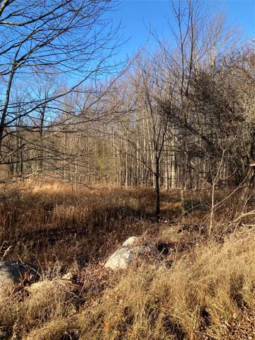 a view of a yard with wooden fence