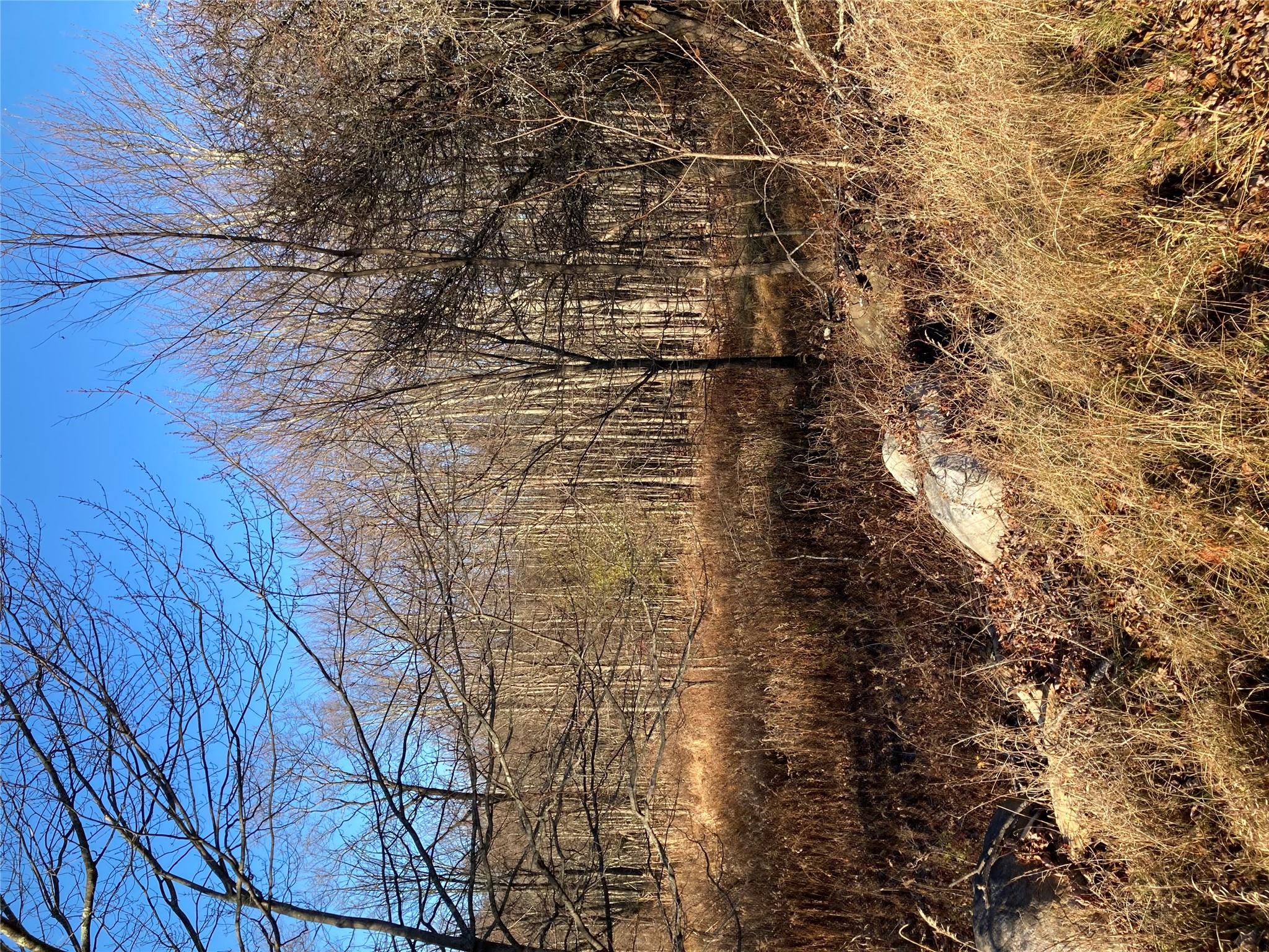 Pocatello Road Pocatello Road Middletown, NY 12566 - Photo 8 of 13 a view of a yard with wooden fence