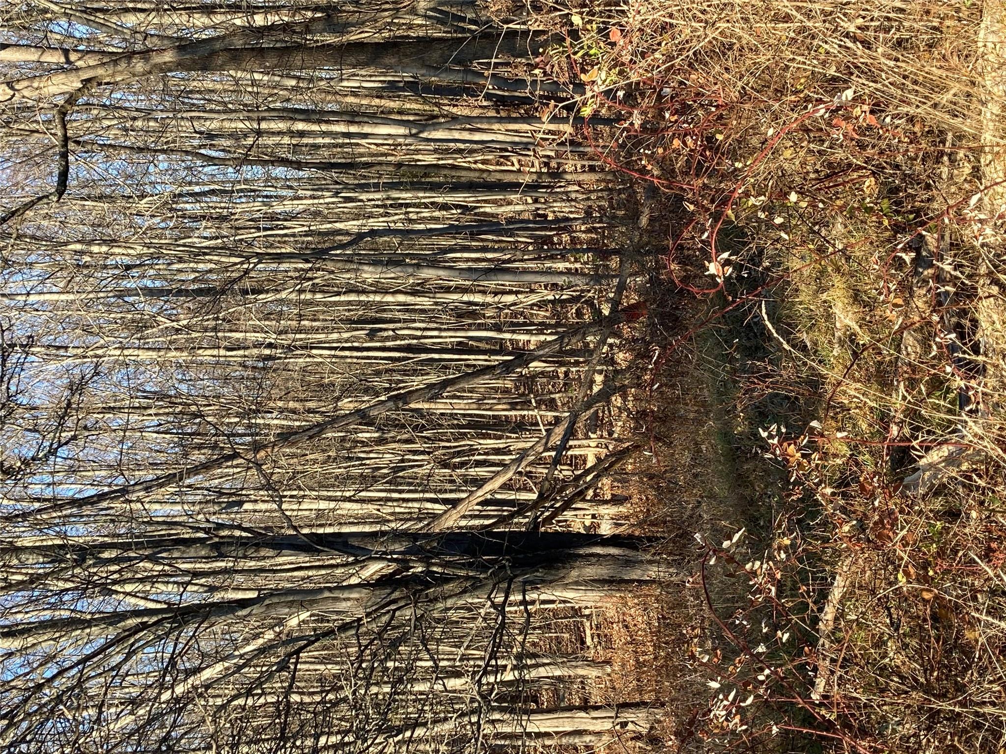 Pocatello Road Pocatello Road Middletown, NY 12566 - Photo 9 of 13 a view of a yard