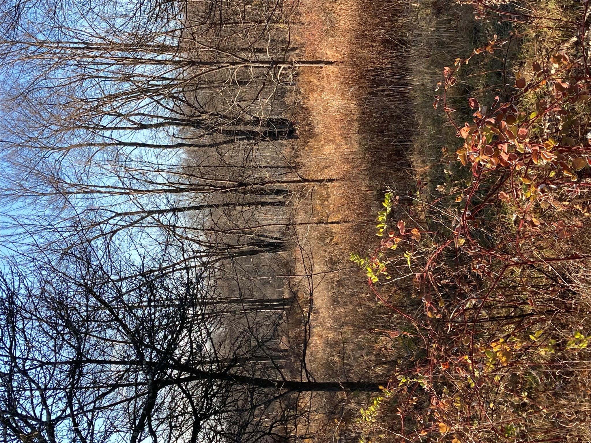 Pocatello Road Pocatello Road Middletown, NY 12566 - Photo 10 of 13 a backyard of a house with lots of green space