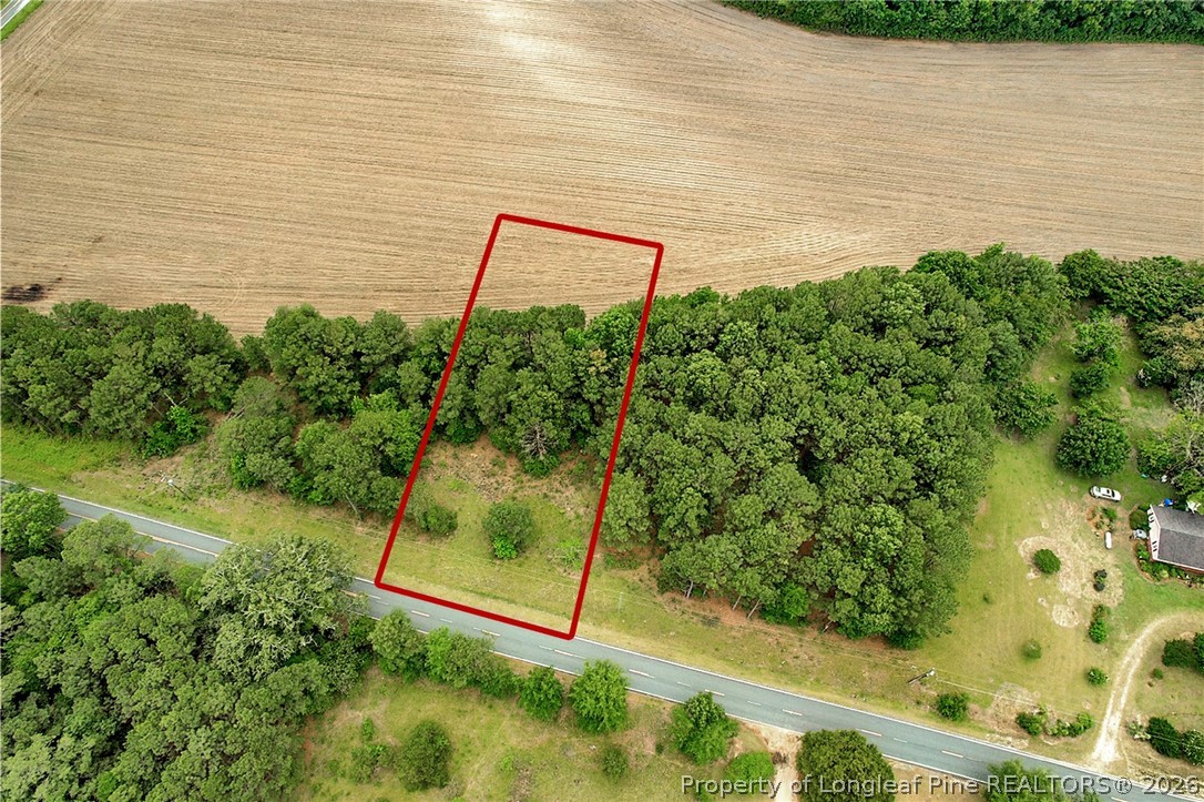 Tbd Quick Road Lumber Bridge, NC 28357 - Photo 1 of 14