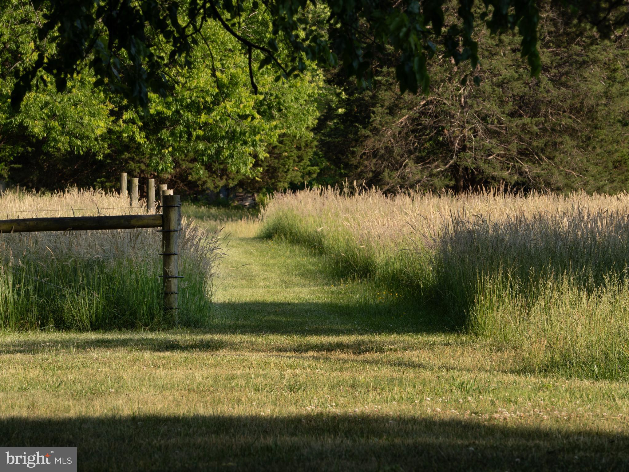 2345 Berry Hill Road Danville, VA 24541 - Photo 114 of 130 gorgeous hay and grazing serene pathways abound