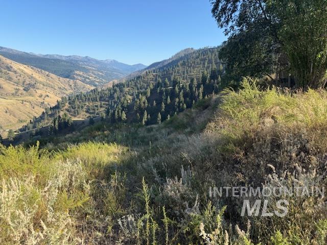144 Chukar Road Pollock, ID 83547 - Photo 2 of 7 View of mountain background featuring a heavily wooded area