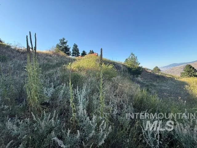 $115,000 | 144 Chukar Road, Pollock, ID 83547