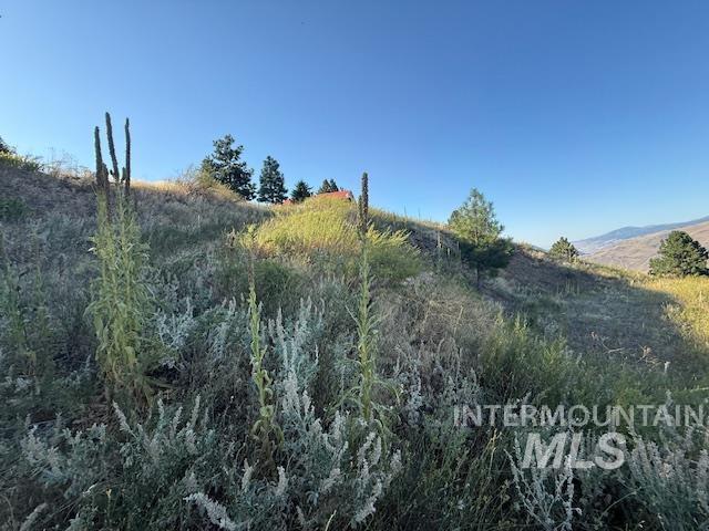 144 Chukar Road Pollock, ID 83547 - Photo 7 of 7 View of nature