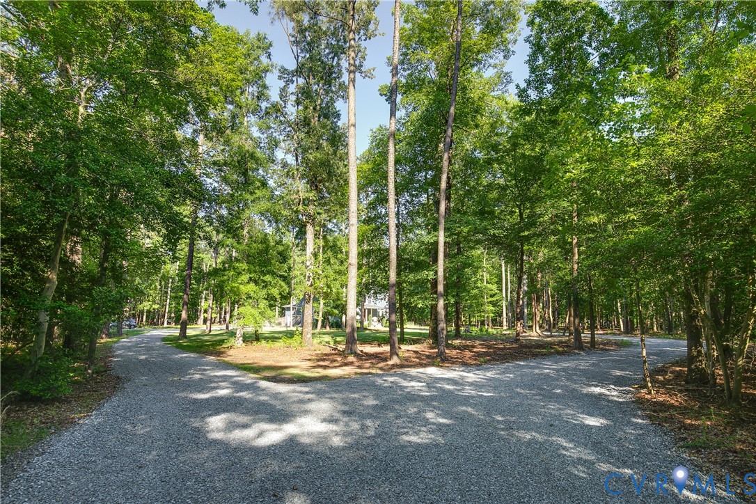 9749 Hoke Brady Road Henrico, VA 23231 - Photo 48 of 53 a view of outdoor space with trees