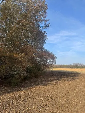 a view of outdoor space and trees