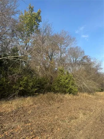 a view of a yard with an trees