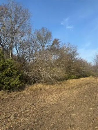 a view of a yard with trees in front of it
