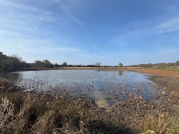 a view of a lake with a city