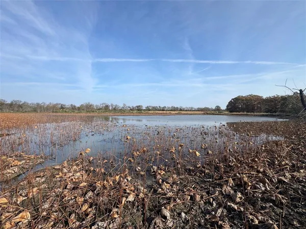 a view of a lake with houses in the back