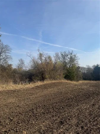 a view of a field with an ocean
