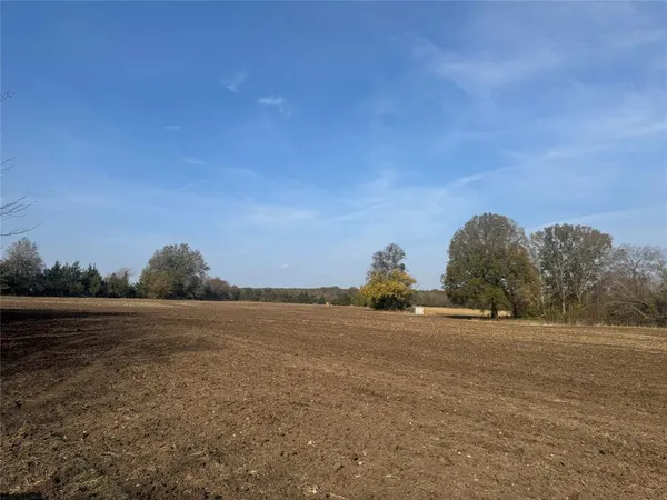 a view of beach and ocean
