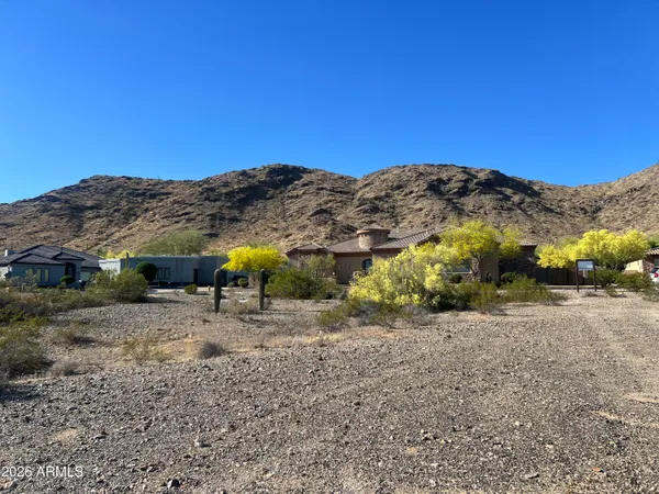 a view of a dry yard with trees