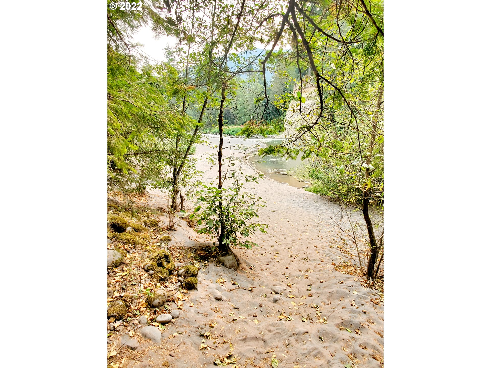 East Barlow Trail Road Sandy, OR 97055 - Photo 5 of 6 a view of a yard