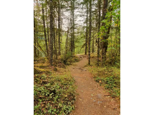 a bathroom with a shower curtain
