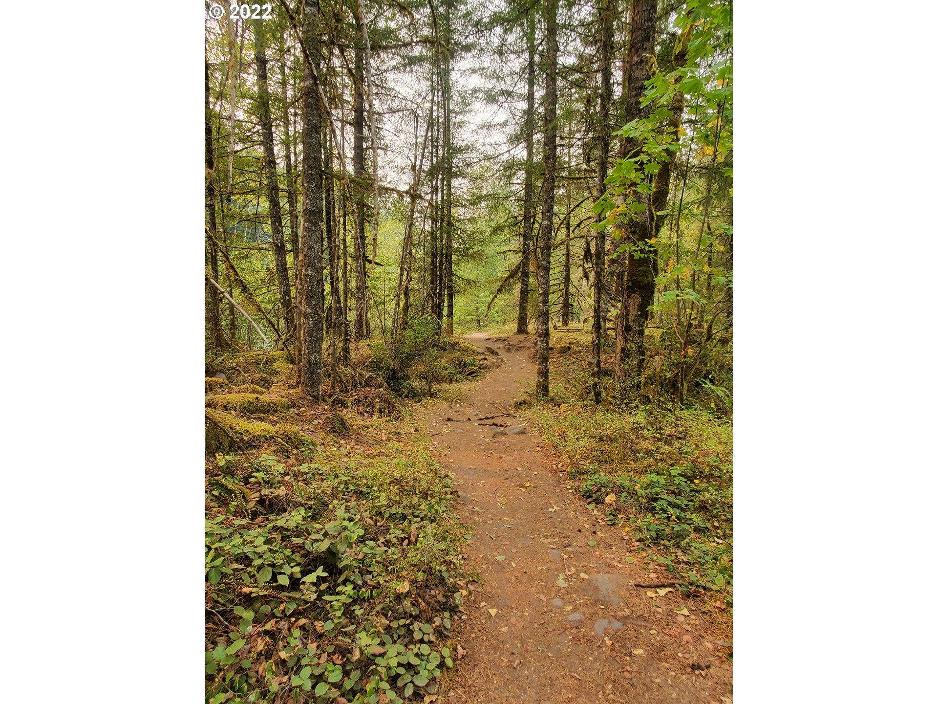 East Barlow Trail Road Sandy, OR 97055 - Photo 6 of 6 a bathroom with a shower curtain
