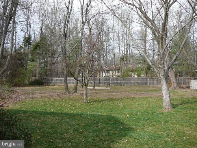 Back yard