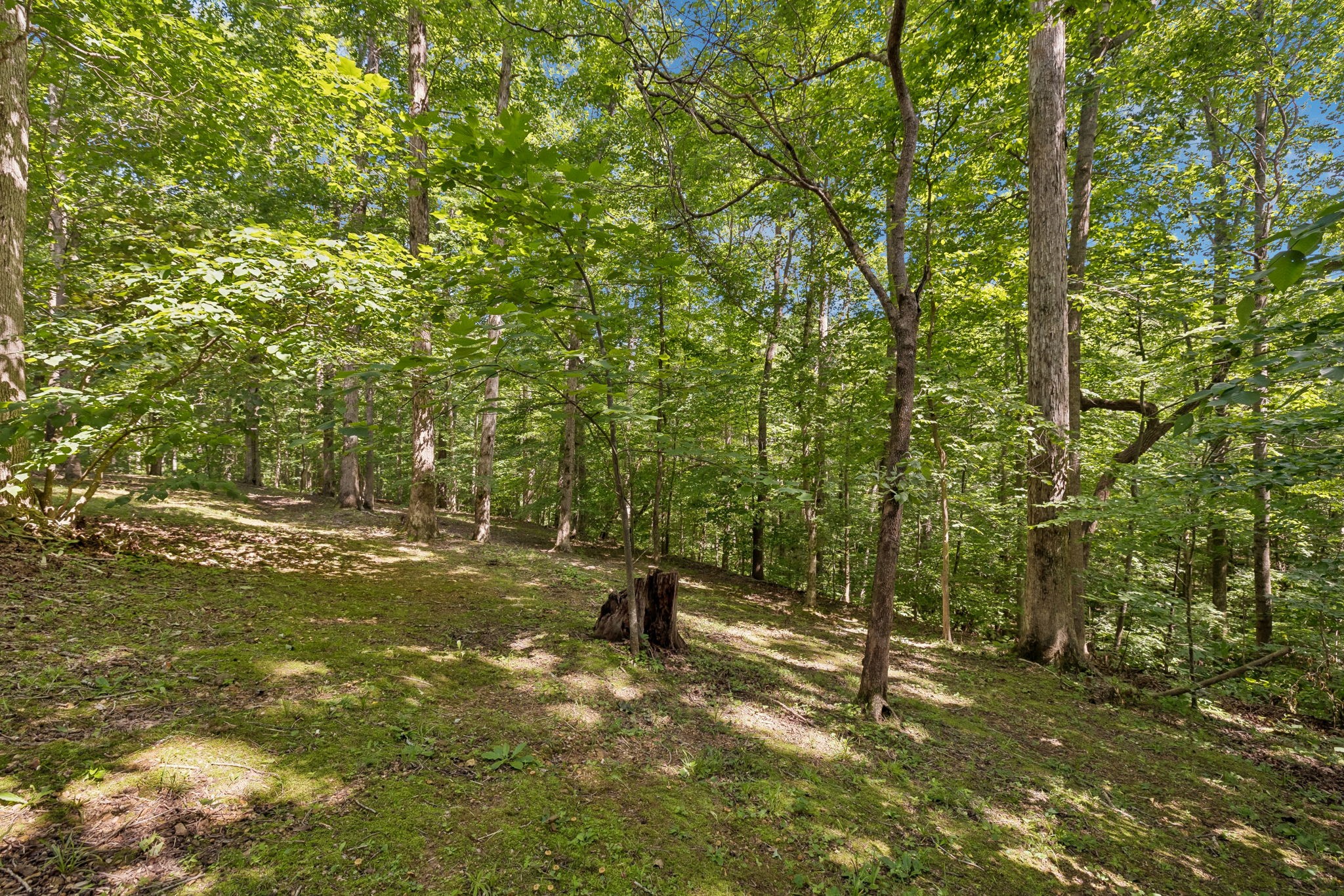 117 West Dell Road Dickson, TN 37055 - Photo 31 of 35
