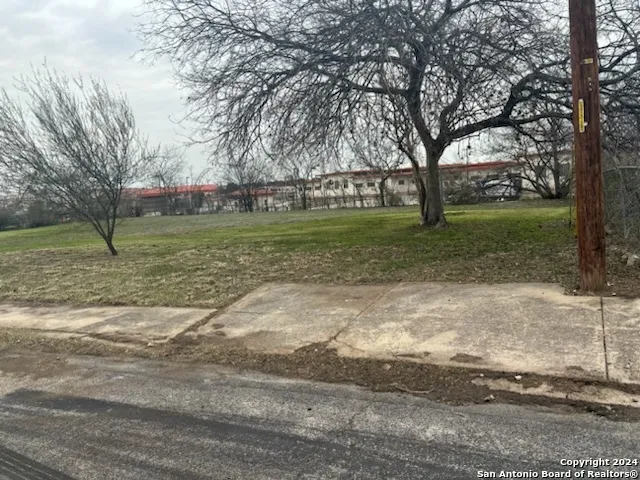 a view of a yard with tree s