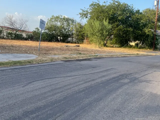 a view of a yard with a tree
