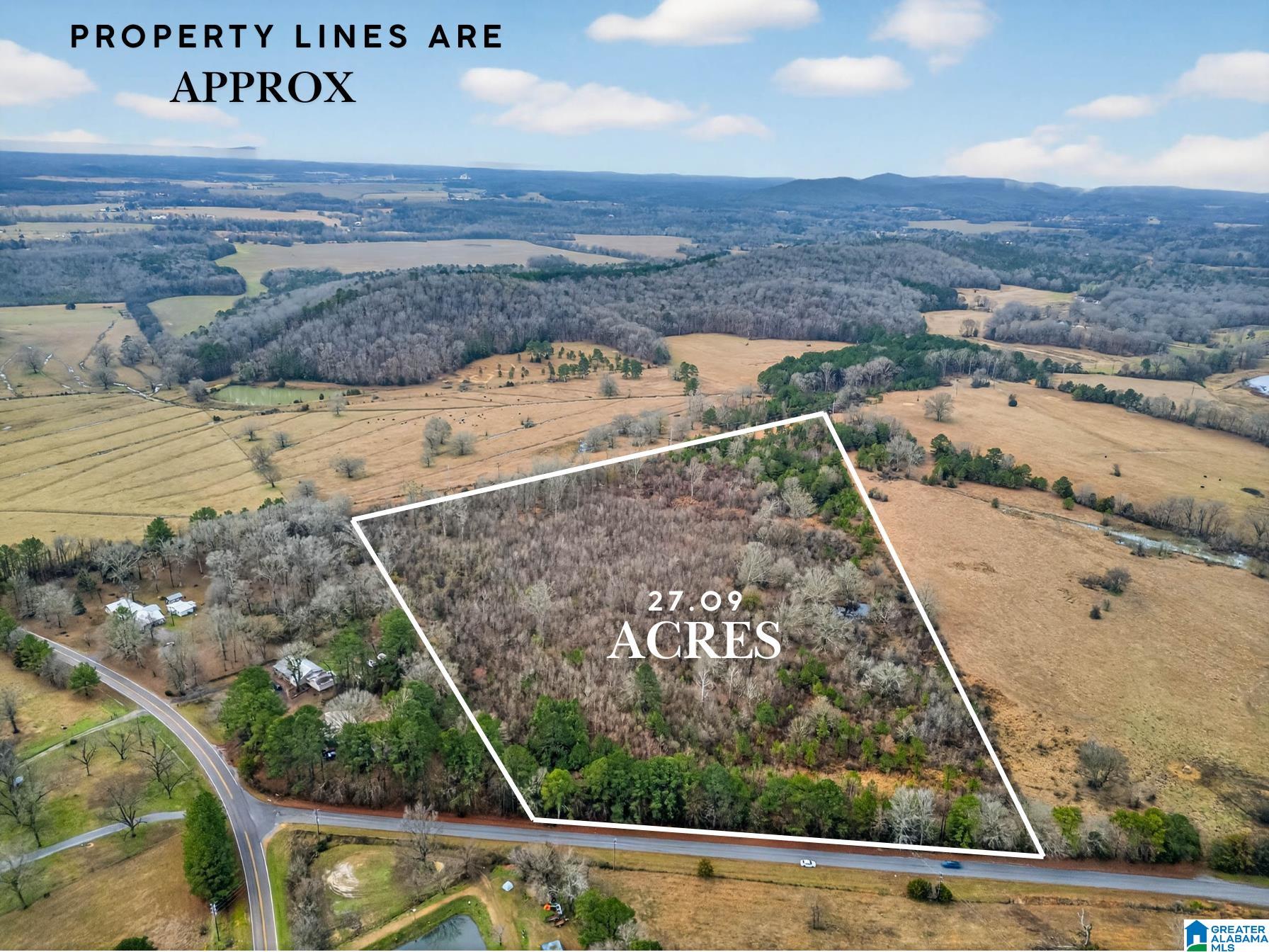 0 Turner Mill Road East Munford, AL 36268 - Photo 1 of 8
